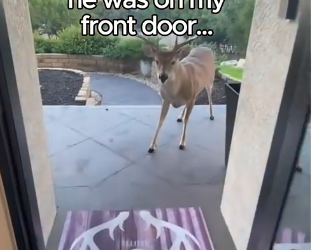 L1505012_We live with the wildlife 😭🥹 (Part 2)