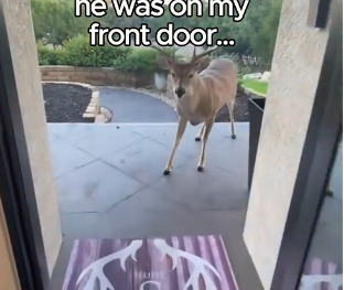 L1505012_We live with the wildlife 😭🥹 (Part 2)