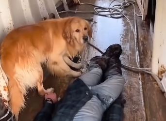 E1405010_His dog saved his life ❤️ (Part 2)
