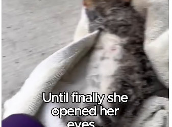 V2305001_She comes back for cuddles (Part 2)