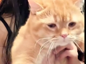 U2205011_The injured stray cat bled from his mouth, couldn’t move his hind legs, but his eyes still held hope (Part 2)