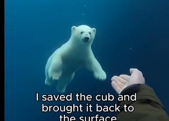 G2005009_A Polar Bear Asked Me for Help… What Happened Next Will Melt Your Heart (Part 2)