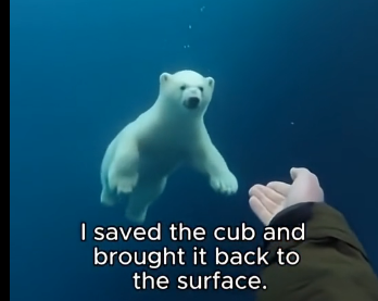 G2005009_A Polar Bear Asked Me for Help… What Happened Next Will Melt Your Heart (Part 2)
