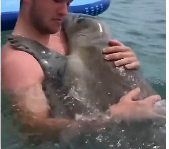 V2705010_RESCUED BABY SEAL visits man’s family thanking him. (Part 2)