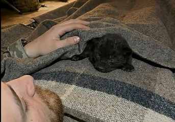 L2905003_I thought I saved a kitten, but it wasn’t one.  (Part 2)